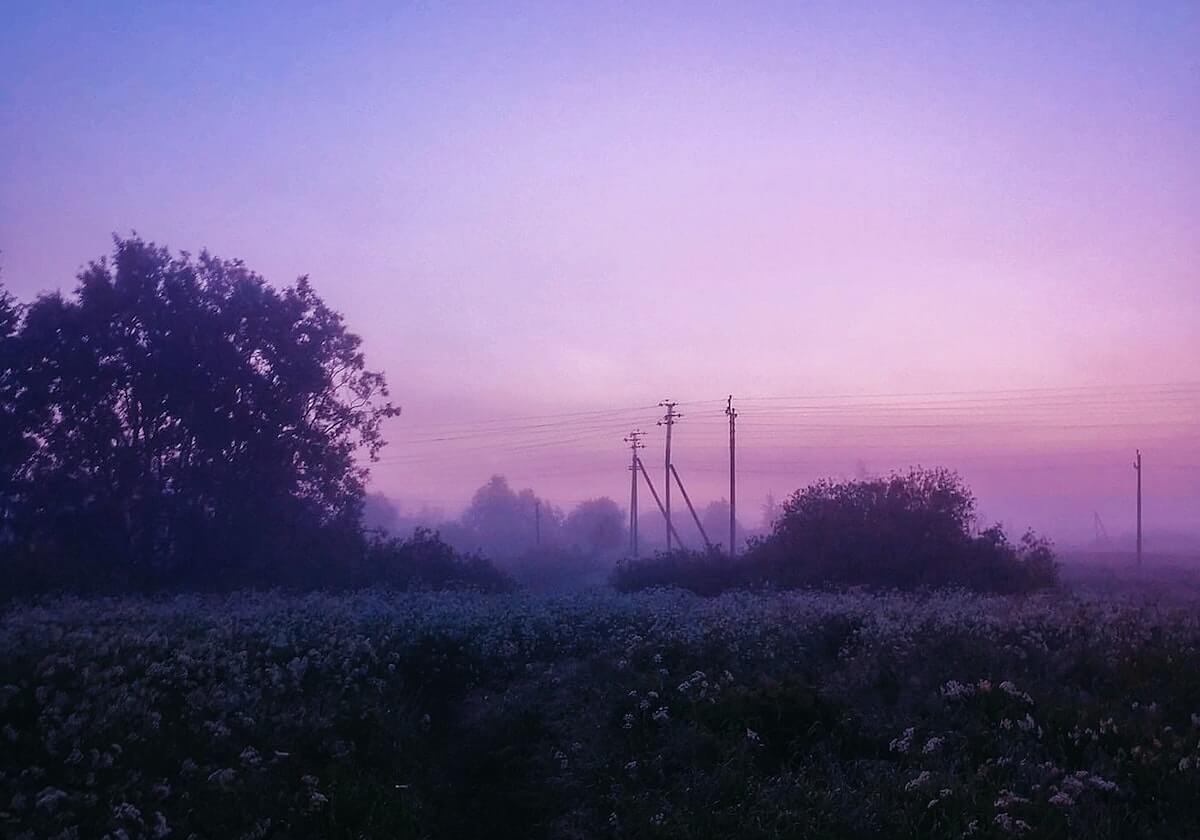 王晓瑞：伊家军二胜遮百丑